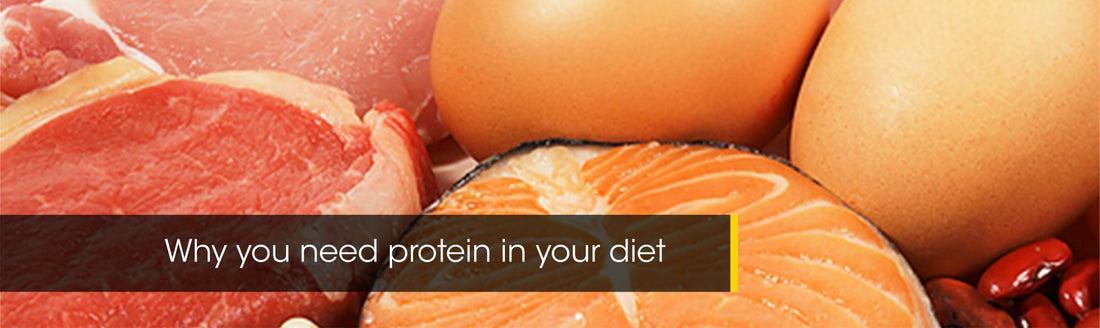 Why you need Protein in your diet | 32Gi United Kingdom