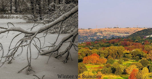 Winter vs Summer nutritional shifts | 32Gi United Kingdom